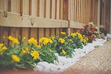 A wooden fence with flowers plated beside it.