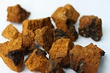 Chaga