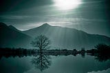 a lovely late evening landscape with shades of black and light green