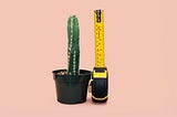 How It Really Is To Date —  As a Guy With a Small Penis