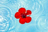 The Gift of Detachment