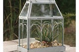 archway-glass-terrarium-1