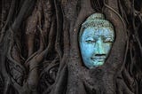 Ask-Wiki-Anything with CohereAI, LangChain, and ChatGPT