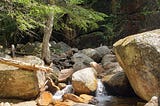 A nice patch of sun, brook, and stone.