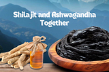 Advantages of taking Shilajit and Ashwagandha together for optimal health