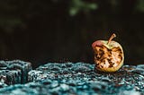 Il catalogo del riuso, per ora e nocivo