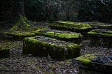 A cluster of old box tombs, partially covered in a light green moss, occupy a graveyard shaded by trees and bounded by a hedge.