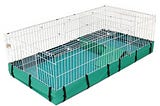 midwest-guinea-pig-habitat-plus-1