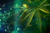 Tokenizing Asia’s Emerging Cannabis Industry