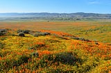 Antelope Valley