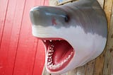 A fake shark head on a wall.