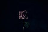 A Story in Five Words: Abandonment