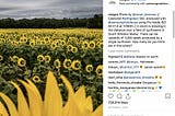 How Did National Geographic Become the Most Followed Brand?