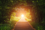 What is Hearticulture?