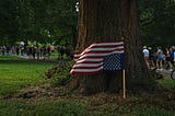 No Kings Day: Another Ineffective Attempt Against Trump