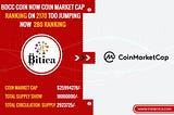 Bitica Weekly Report 3