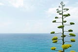 A Trip to Binary Tree Traversal