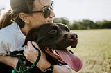 A very dark brown dog being hugged by a woman with sunglasses. The background appears to be an open park or exterior.