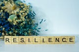 Resilience is our Middle (Pause) Name