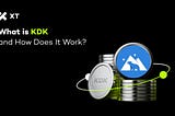 What Is KDK? Understanding Kodiak’s Role in the Berachain DeFi Ecosystem