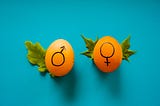 Two eggs with gender symbols drawn on them.