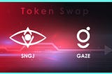 Transforming SNGJ to GAZE: How to Convert Your Tokens