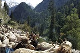 A Walkthrough Parvati Valley with 10 Mesmerizing Real-Life Pictures