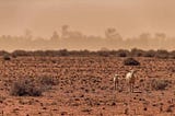 Water Torture: China to Mine Water from Drought Ravaged Australia