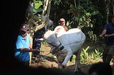 How the Sacrifice of One Cow  Impact Hundreds of Lives