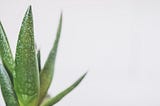 How Aloe Juice Improved My Gut Health