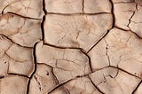 Dried-out earth, cracked and warped.