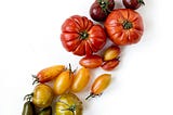 A colorful array of homegrown tomatoes, ranging from green to yellow to orange to red and finally, purple.