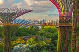 How Singapore Became The Place To Be