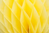 The big yellow flower.