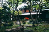 Transforming Your Outdoor Space: Budget-Friendly Landscaping Ideas