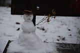 I Made Snowmen with My Children