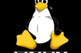 *How To Read Ram in Linux*