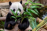 使用 Pandas DataFrame 常用的 26 個基本技巧