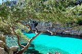 Photo of a beautiful cove with what looks like a limestone cliff. The water is a stunning turquoise and clear to a smooth sandy floor. The water is seen through the branches of a spindly, wind-trimmed pine tree.