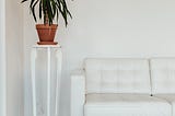 A white sofa near a potted plant in Tanabes’, where Mikage slept