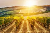 Why trading innovation matters in the Wine industry (Blockchain, Part 1)