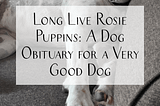 Long Live Rosie Puppins: A Dog Obituary for a Very Good Dog — Marisa Mohi | Writer