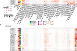 The Spatial Revolution: Going Beyond The Microscope To Improve Patient Outcomes