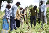 Loitokitok farmers go green with permaculture | Forest andscape restoration