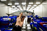 7 Of The Most Faked Seafood In The World