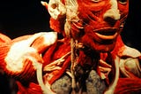 Understanding the Human Body