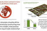 The Truth About Cocoa Supply Chain and Unveiling an Innovative Solution