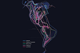 How are bird migrations visualized?