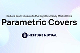 Neptune Mutual — Reducing your exposure to crypto market risks