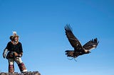 Golden Eagle Aflame